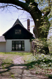 Das Drachenhaus